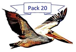 Pack 20 Logo white